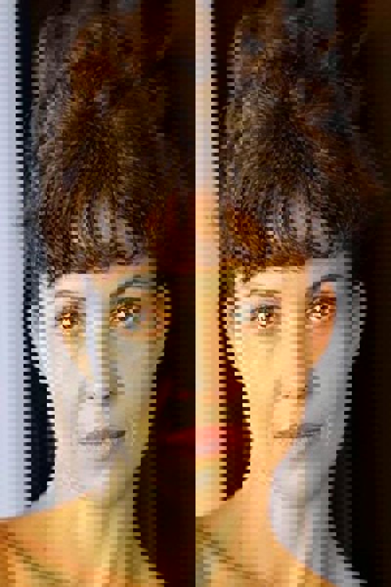 Aleida Torrent