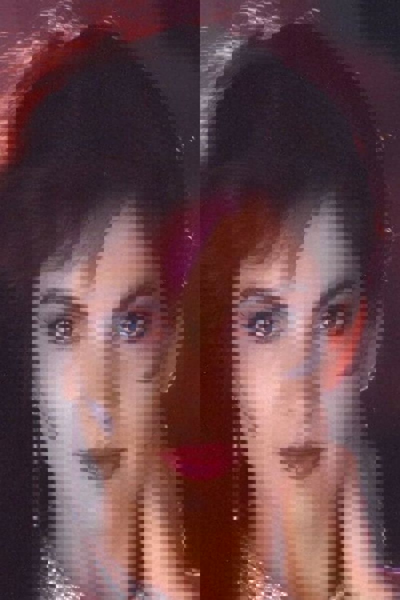 Brinke Stevens