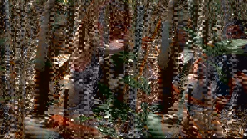 Movie scene