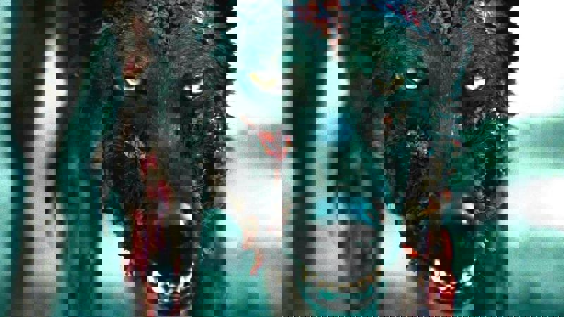 Movie scene