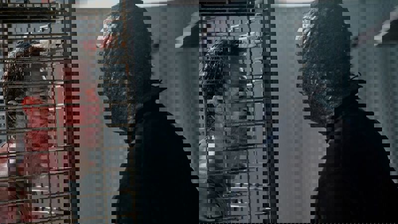 Movie scene