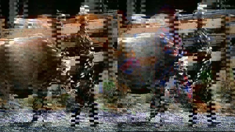 Movie scene