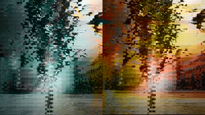 Movie scene