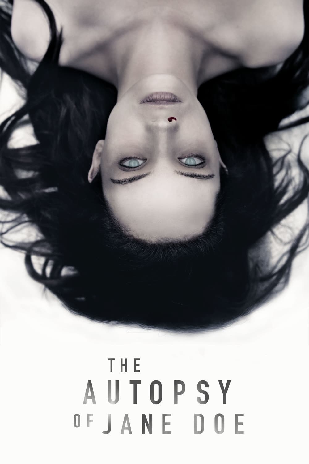 The Autopsy